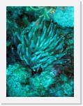 PC120302 * 2448 x 3264 * (1.71MB)