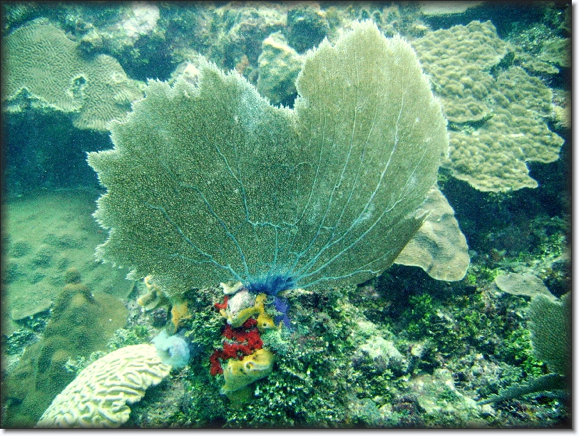 You have reached the last slide