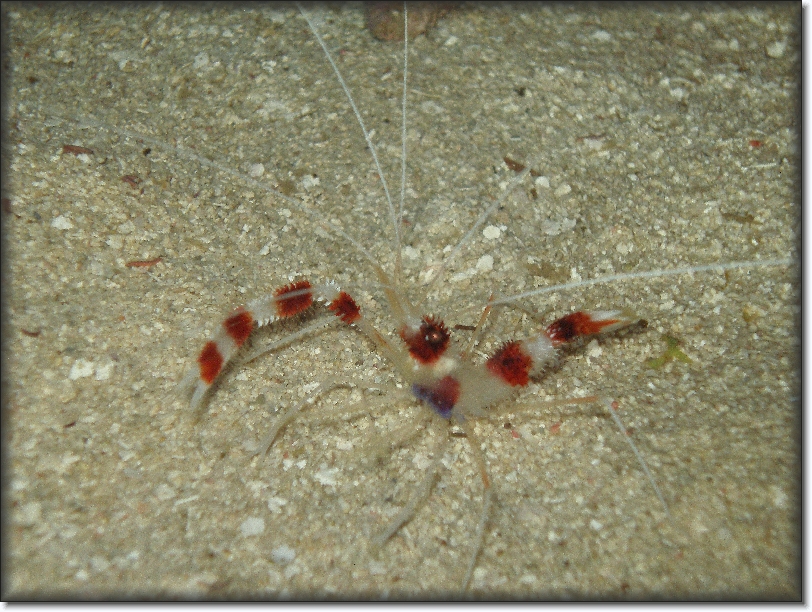 You have reached the last slide